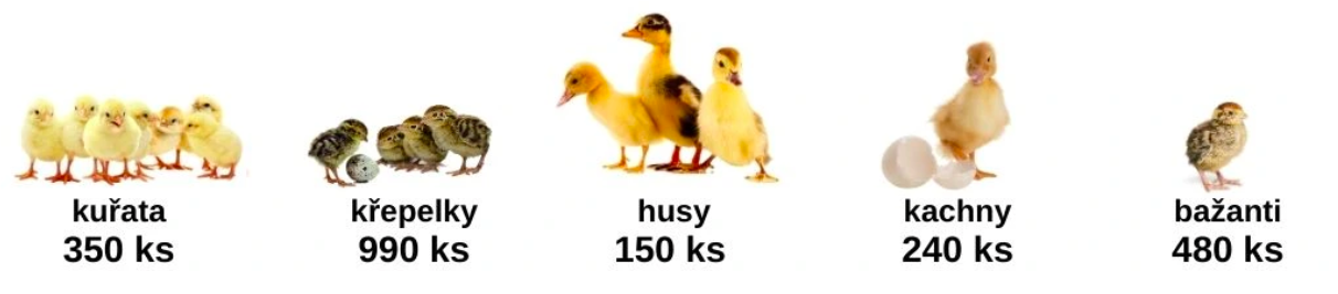 Snímka obrazovky 2026-03-14 o 13.11.01